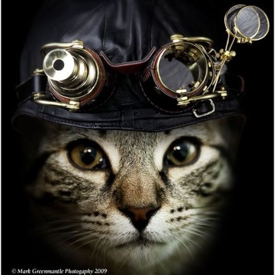 Image for: Steampunk Cat