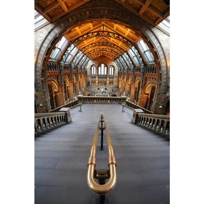 Image for: London Natural History Museum
