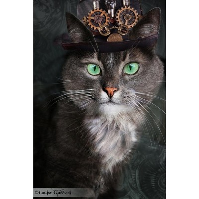 Image for: Steampunk Cats by Louise Cantwell