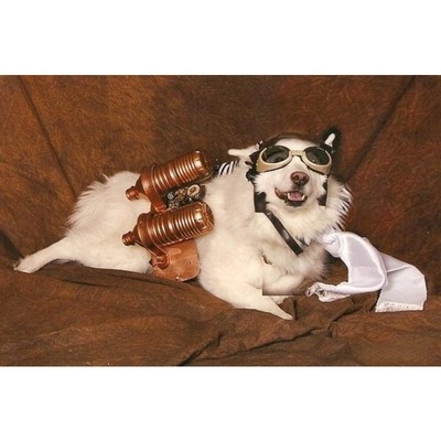 Image for: Jetpack Dog