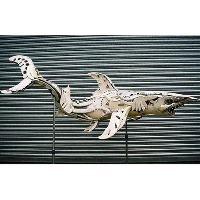 Image for: Hub cap animals - Shark